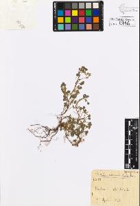 SW_BNB_s3020-00749_IMG-0000000001