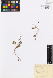 SW_BNB_s3020-00750_IMG-0000000001