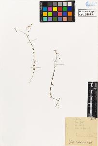 SW_BNB_s3020-00751_IMG-0000000001