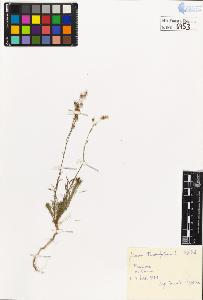 SW_BNB_s3020-00756_IMG-0000000001