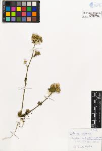 SW_BNB_s3020-00767_IMG-0000000001