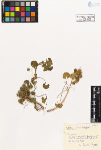 SW_BNB_s3020-00768_IMG-0000000001