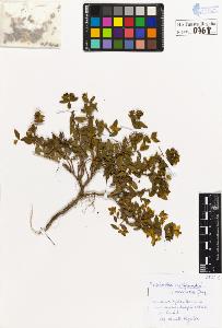SW_BNB_s3020-00771_IMG-0000000001