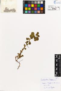 SW_BNB_s3020-00773_IMG-0000000001