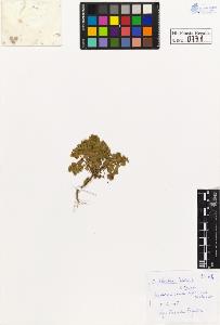SW_BNB_s3020-00774_IMG-0000000001