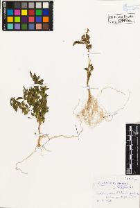 SW_BNB_s3020-00782_IMG-0000000001