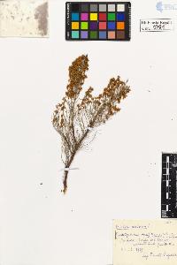 SW_BNB_s3020-00784_IMG-0000000001
