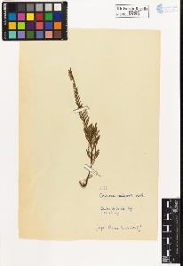 SW_BNB_s3020-00788_IMG-0000000001