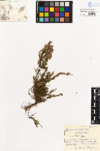 SW_BNB_s3020-00790_IMG-0000000001