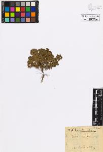 SW_BNB_s3020-00797_IMG-0000000001
