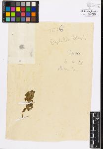 SW_BNB_s3020-00798_IMG-0000000001