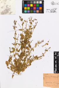 SW_BNB_s3020-00799_IMG-0000000001