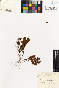 SW_BNB_s3020-00803_IMG-0000000001