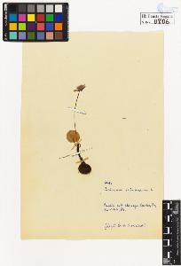 SW_BNB_s3020-00809_IMG-0000000001
