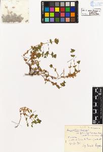 SW_BNB_s3020-00810_IMG-0000000001