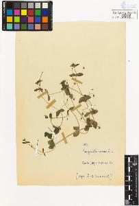 SW_BNB_s3020-00811_IMG-0000000001