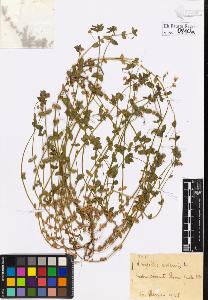 SW_BNB_s3020-00813_IMG-0000000001