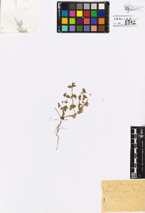 SW_BNB_s3020-00815_IMG-0000000001