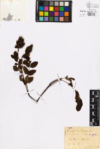 SW_BNB_s3020-00823_IMG-0000000001