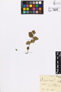 SW_BNB_s3020-00828_IMG-0000000001