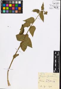 SW_BNB_s3020-00832_IMG-0000000001