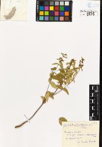 SW_BNB_s3020-00838_IMG-0000000001