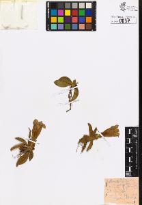 SW_BNB_s3020-00840_IMG-0000000001