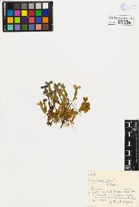 SW_BNB_s3020-00842_IMG-0000000001