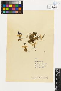 SW_BNB_s3020-00843_IMG-0000000001