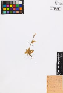 SW_BNB_s3020-00849_IMG-0000000001