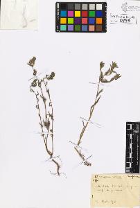 SW_BNB_s3020-00862_IMG-0000000001