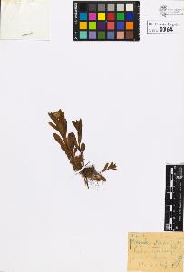 SW_BNB_s3020-00867_IMG-0000000001