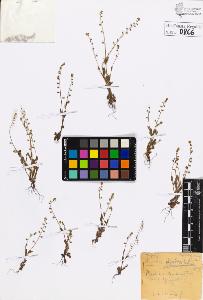 SW_BNB_s3020-00869_IMG-0000000001