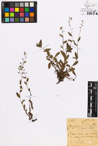 SW_BNB_s3020-00871_IMG-0000000001