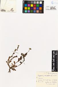 SW_BNB_s3020-00873_IMG-0000000001