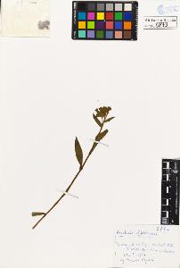 SW_BNB_s3020-00876_IMG-0000000001