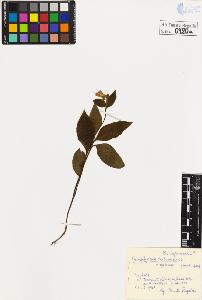 SW_BNB_s3020-00883_IMG-0000000001