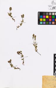 SW_BNB_s3020-00884_IMG-0000000001
