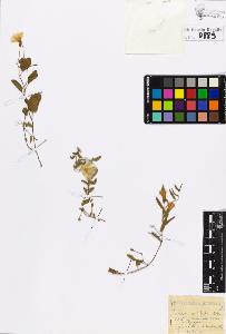 SW_BNB_s3020-00893_IMG-0000000001