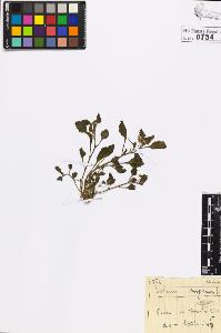 SW_BNB_s3020-00898_IMG-0000000001