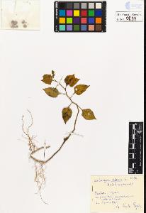 SW_BNB_s3020-00901_IMG-0000000001