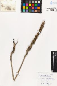 SW_BNB_s3020-00902_IMG-0000000001