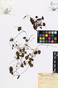 SW_BNB_s3020-00913_IMG-0000000001