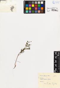 SW_BNB_s3020-00919_IMG-0000000001