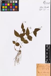 SW_BNB_s3020-00936_IMG-0000000001