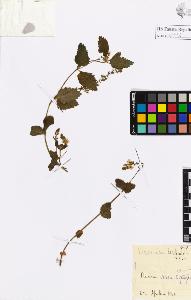 SW_BNB_s3020-00937_IMG-0000000001