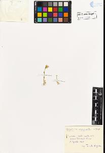 SW_BNB_s3020-00942_IMG-0000000001