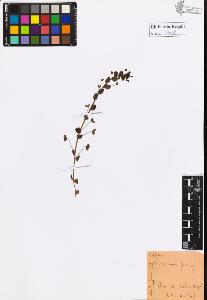 SW_BNB_s3020-00945_IMG-0000000001