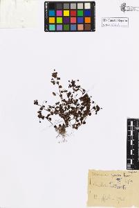 SW_BNB_s3020-00946_IMG-0000000001