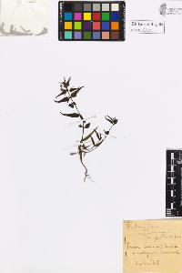SW_BNB_s3020-00950_IMG-0000000001